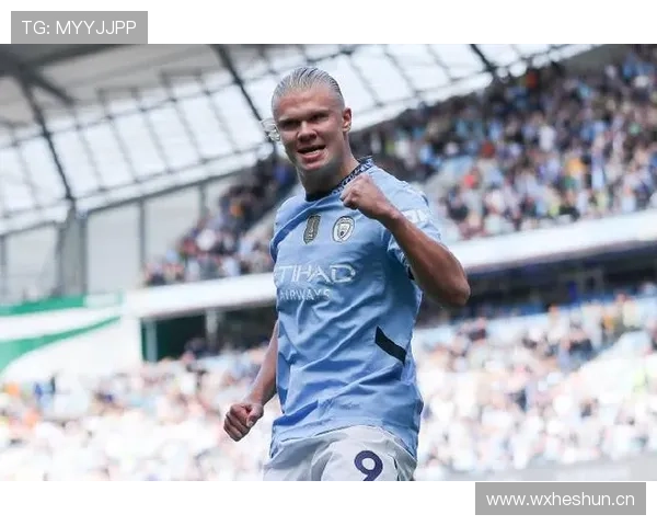 哈兰德全球最贵前锋